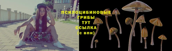 гашиш Новокубанск