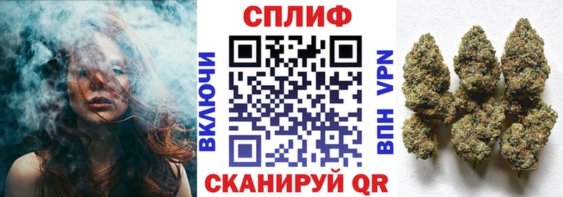 Конопля гибрид  Реутов 